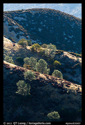 Ridges of rolling hills. Pinnacles National Park, California, USA.