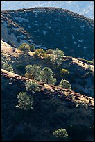 Ridges of rolling hills. Pinnacles National Park, California, USA. (color)