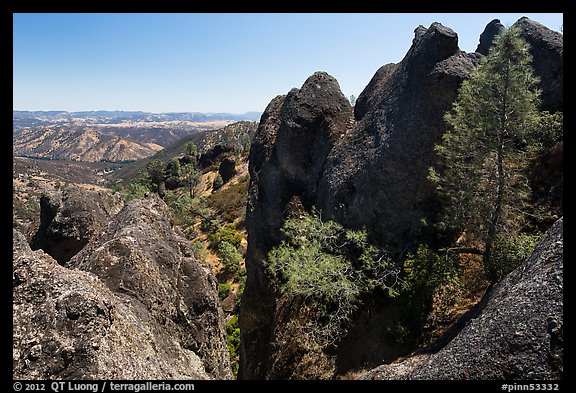 Pine trees growing amongst High Peaks rock faces. Pinnacles National Park, California, USA.