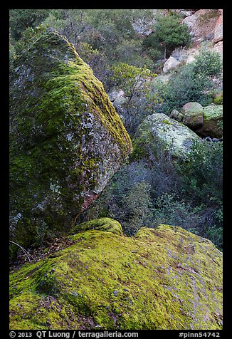 Boulders in gully, Bear Gulch. Pinnacles National Park, California, USA.