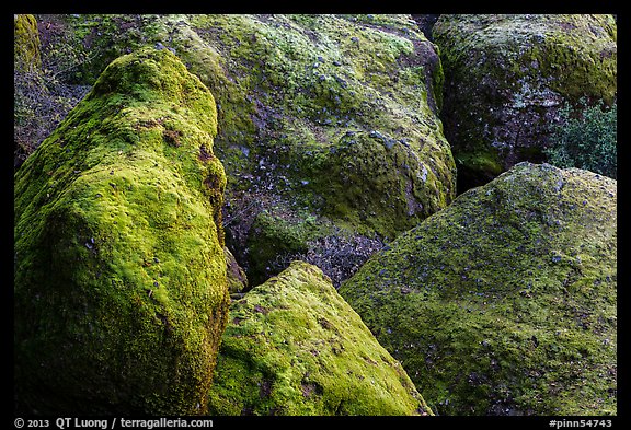 Moss-covered boulders, Bear Gulch. Pinnacles National Park, California, USA.