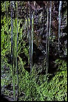 Icicles and mossy rocks, Balconies Caves. Pinnacles National Park, California, USA. (color)