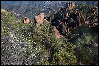Blooms and pinnacles in spring. Pinnacles National Park, California, USA.
