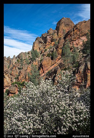 Spring blooms and high peaks from Juniper Canyon. Pinnacles National Park, California, USA.
