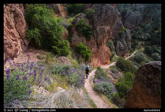 Hiker on trail in spring. Pinnacles National Park, California, USA.