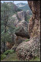 Andesite outcrops. Pinnacles National Park, California, USA. (color)