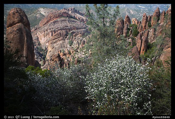 Blooms and Balconies cliffs. Pinnacles National Park (color)