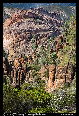 Pinnacles, trees, and Balconies cliffs. Pinnacles National Park, California, USA.