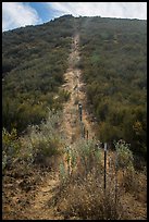 Pig fence climbing steep hill. Pinnacles National Park, California, USA. (color)