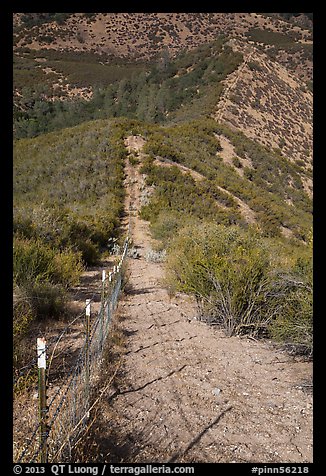 Boundary fence on steep hillside. Pinnacles National Park, California, USA.