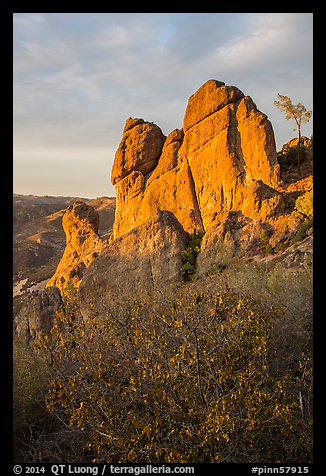 Shrubs and rock towers, autumn sunset. Pinnacles National Park (color)