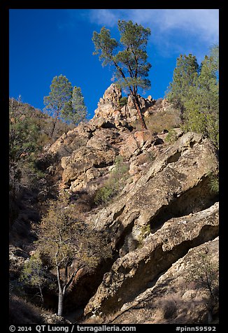 Looking up rock gully. Pinnacles National Park (color)