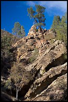 Looking up rock gully. Pinnacles National Park ( color)