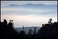 Silhouetted pinnacles and trees, mountains and valley fog. Pinnacles National Park ( color)