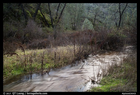 Chalone Creek flowing. Pinnacles National Park (color)
