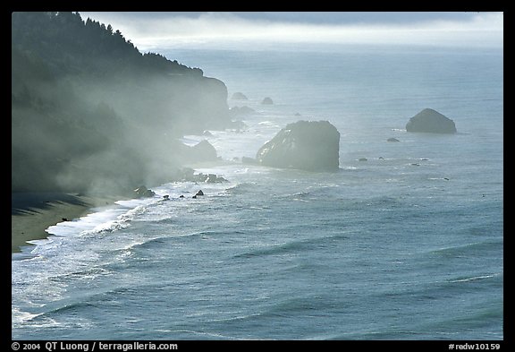 Morning mist on coast. Redwood National Park, California, USA.