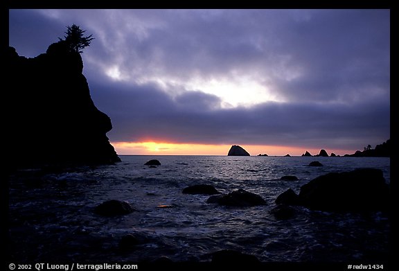 Seastacks and clouds, Hidden Beach, sunset. Redwood National Park, California, USA.