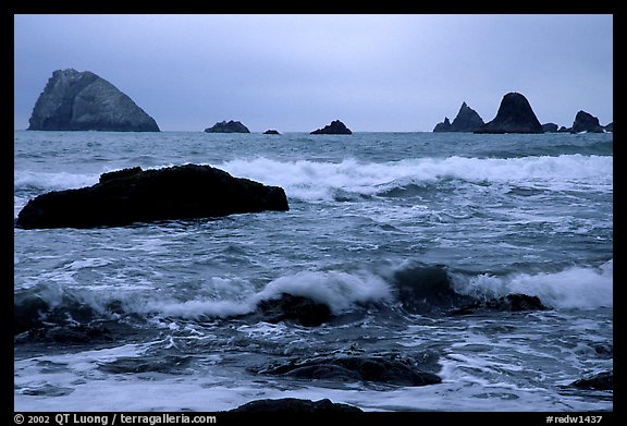 Seastacks and surf in foggy weather, Hidden Beach. Redwood National Park (color)