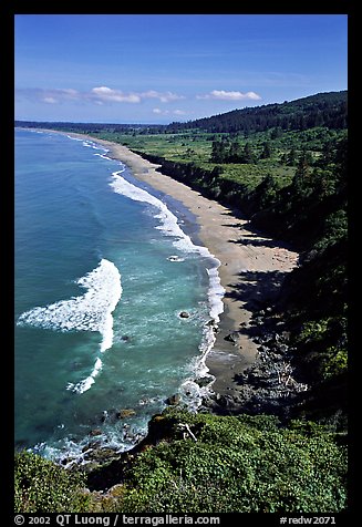 Crescent Beach from above. Redwood National Park (color)