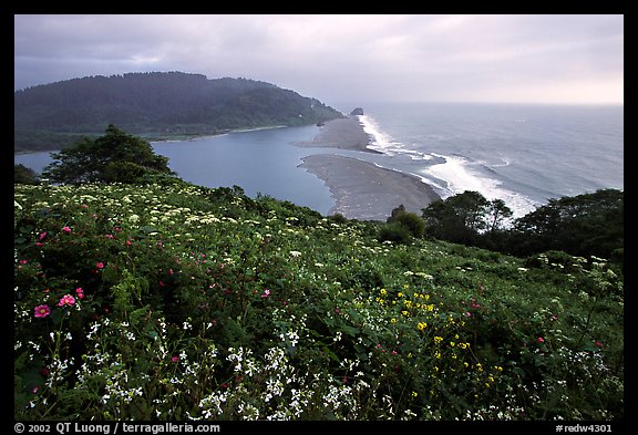 Coastline from Klamath overlook. Redwood National Park (color)