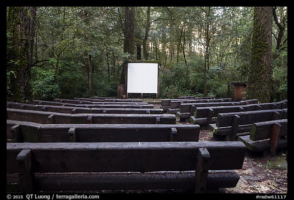 Amphitheater, Jedediah Smith Redwoods State Park. Redwood National Park, California, USA.