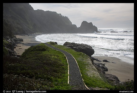 Trail and Enderts Beach. Redwood National Park, California, USA.