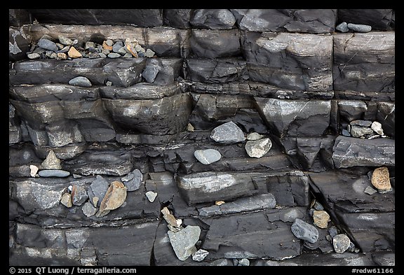Close-up of rocks and stratified slab, Enderts Beach. Redwood National Park, California, USA.