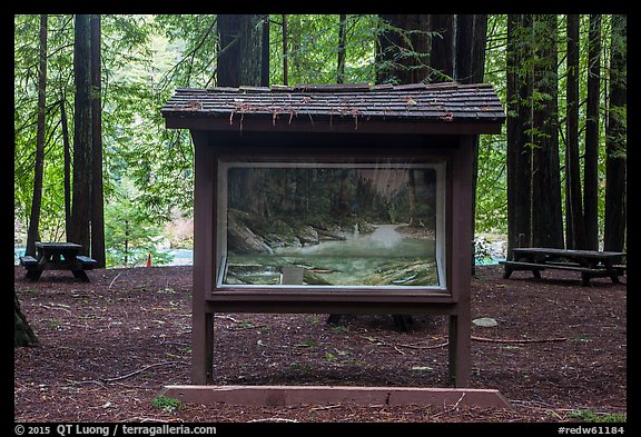 Interpretive picture and redoods on the banks of Smith River, Jedediah Smith Redwoods State Park. Redwood National Park (color)