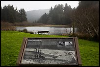 Pond and interpretive sign. Redwood National Park, California, USA.