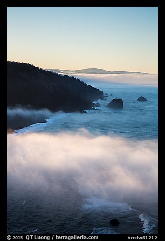 Costal clouds in early morning, Klamath River Overlook. Redwood National Park, California, USA.