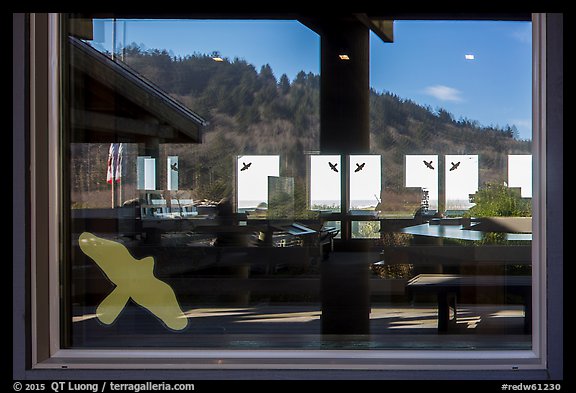 Hillside with trees, ocean,  Kuchel Visitor Center window reflexion. Redwood National Park, California, USA.