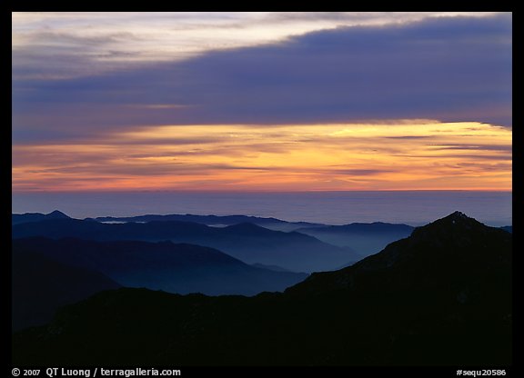 Ridges and sea of clouds at sunset. Sequoia National Park, California, USA.