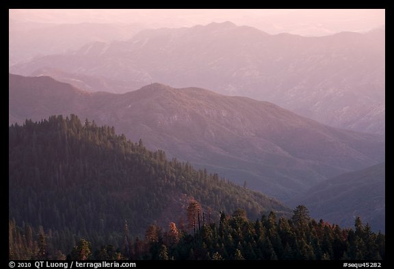 Forested ridges on western Sierra Nevada. Sequoia National Park, California, USA.