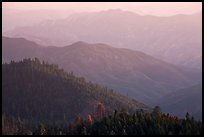 Forested ridges on western Sierra Nevada. Sequoia National Park, California, USA.