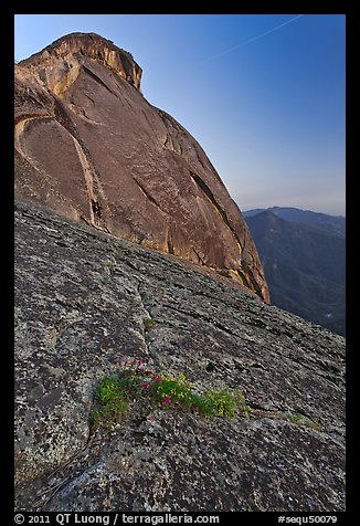 Granite slabs and dome of Moro Rock at sunset. Sequoia National Park, California, USA.