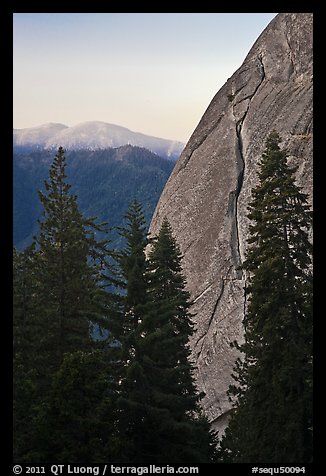 Forest and base of Moro Rock at dawn. Sequoia National Park, California, USA.