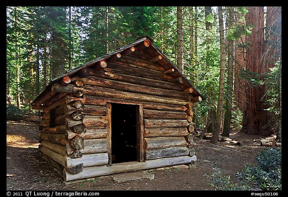 Squatters Cabin. Sequoia National Park, California, USA.