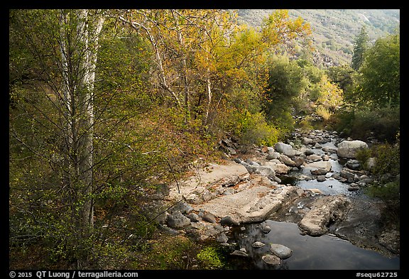 Creek in autumn. Sequoia National Park, California, USA.
