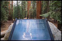 Largest tree on earth interpretive sign. Sequoia National Park, California, USA.