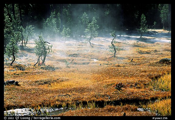 Mist raising from Tuolumne Meadows on a autumn morning. Yosemite National Park, California, USA.