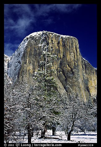 West face of El Capitan in winter. Yosemite National Park (color)
