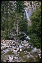 Lower falls, Cascade Creek. Yosemite National Park, California, USA.
