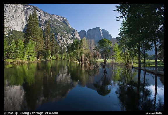 Swollen Merced River reflecting trees and cliffs. Yosemite National Park, California, USA.
