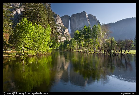 Trees in spring foliage and Yosemite Falls reflected in Merced River. Yosemite National Park, California, USA.