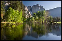 Trees in spring foliage and Yosemite Falls reflected in Merced River. Yosemite National Park, California, USA.