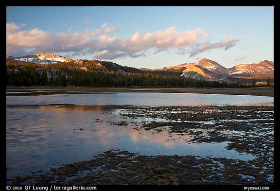 Flooded meadow in early spring at sunset, Tuolumne Meadows. Yosemite National Park, California, USA.