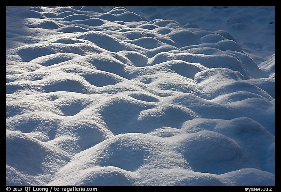 Rounded pattern of snow over grasses, Cook Meadow. Yosemite National Park, California, USA.