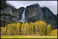 Bright trees in spring and dark Yosemite Falls. Yosemite National Park, California, USA.