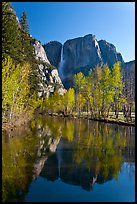 Yosemite Falls reflected in mirror-like Merced River, early spring. Yosemite National Park, California, USA.