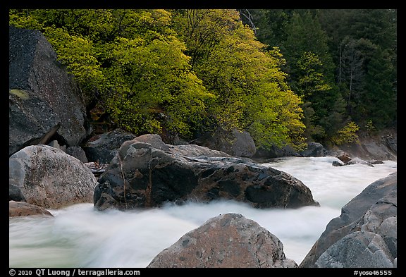 Merced River whitewater in spring. Yosemite National Park, California, USA.